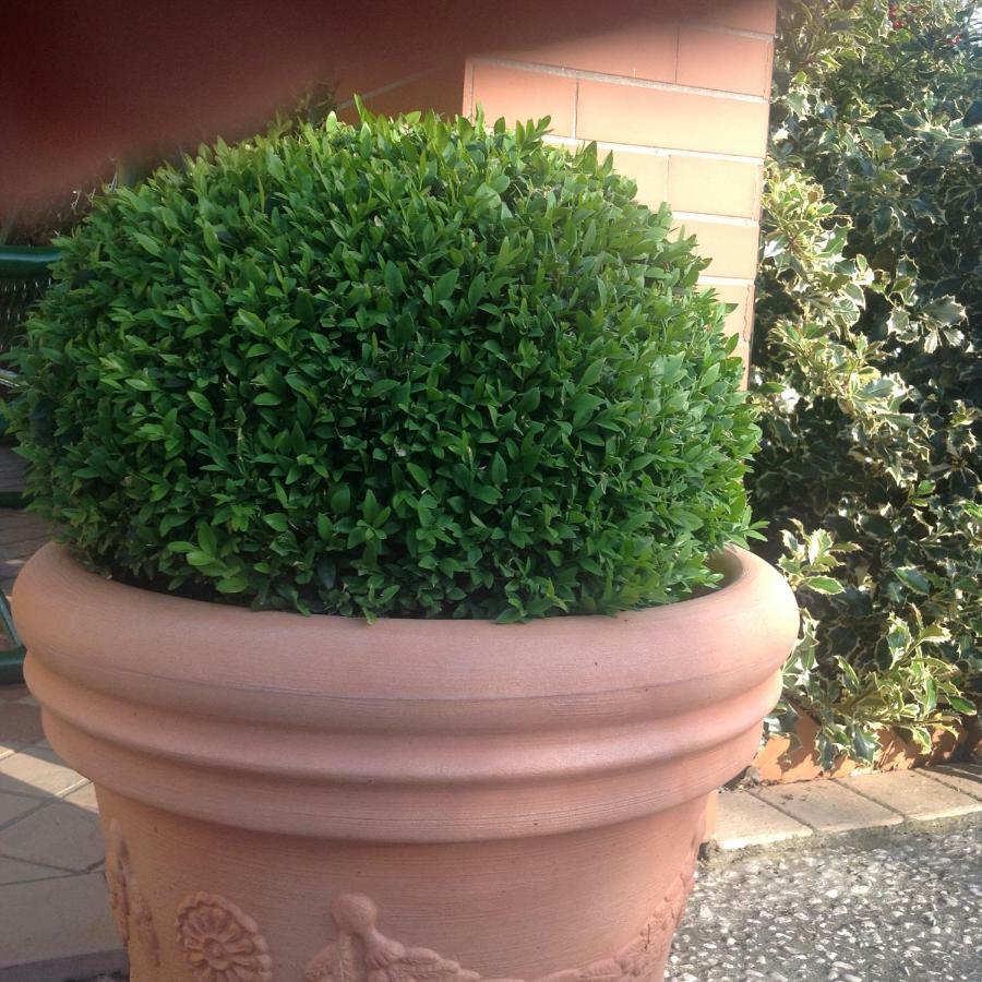 דירות Moniga del Garda Casale El Galet מראה חיצוני תמונה